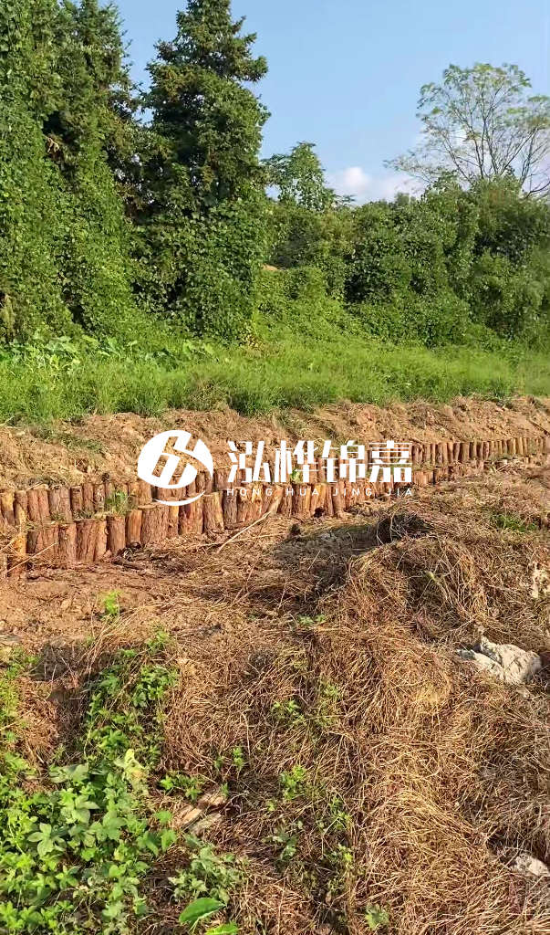 許昌河道清淤專業(yè)施工-河道污水治理要多長(zhǎng)時(shí)間？