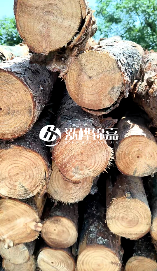 周口挖機(jī)打木樁專業(yè)施工-杉木樁施工打樁怎么打？