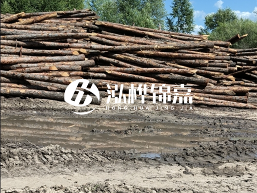 松木樁施工隊泓樺錦嘉 - 木頭打樁護(hù)岸能用多長時間？