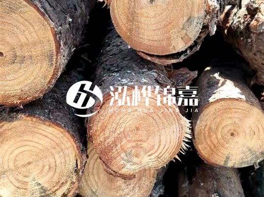 松木樁施工隊泓樺錦嘉 - 松木樁怎么檢測好壞？