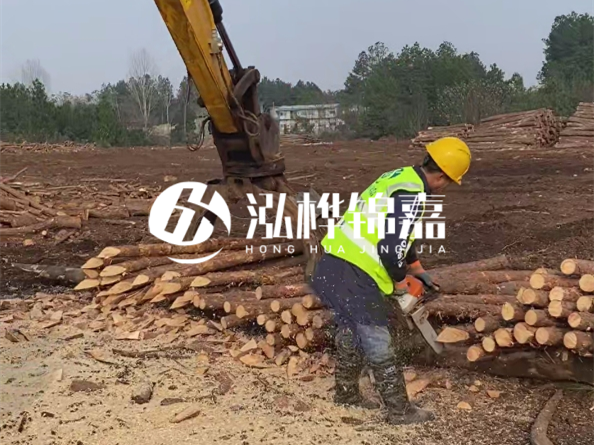 松木樁施工隊泓樺錦嘉 - 松木打樁在水里管幾年？